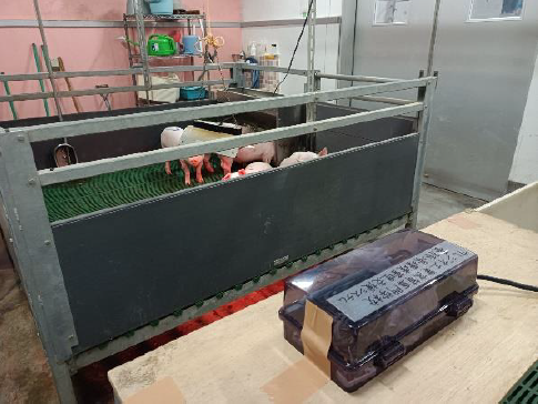 第13回「かしこみかしこみ!養豚お助け申す!」サレジオ高専